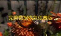完美数据恢复免费版